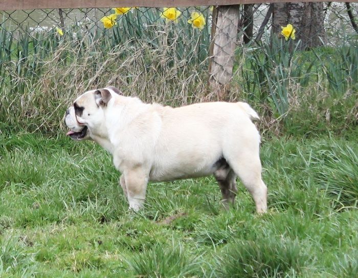 Is so cute dit léo des Loups D'Aphrodite